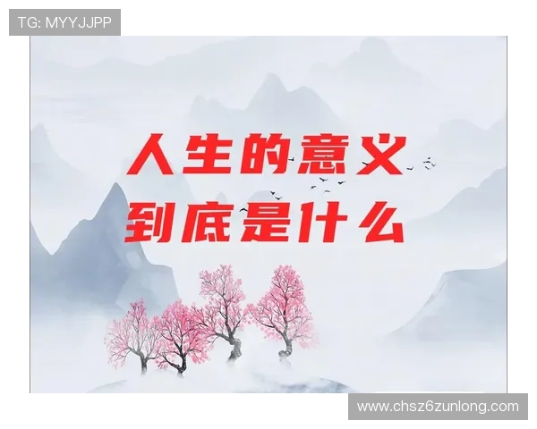 Z6人生就是博：如何在游戏中找到人生的意义与价值实现