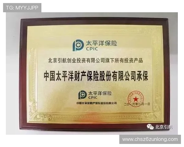 如何在d88尊龙大厅中安全进行游戏资金管理保障财产安全 如何在d88尊龙大厅中安全进行游戏资金管理保障财产安全